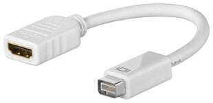 Mini DVI - HDMI, 0.1 m cena un informācija | Adapteri un USB centrmezgli | 220.lv