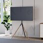 Alterzone Trio Lite Easel 45-65” цена и информация | TV kronšteini | 220.lv