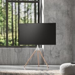 Alterzone Trio Easel 45-65” цена и информация | Кронштейны и крепления для телевизоров | 220.lv