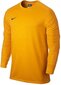 T-krekls Nike Park Goalie II, oranžs cena un informācija | Futbola formas un citas preces | 220.lv