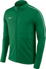 Мужской спортивный джемпер Nike, AA2059 302, зеленый цена и информация | Мужская спортивная одежда | 220.lv