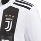 T-krekls Adidas Juve, balts цена и информация | Futbola formas un citas preces | 220.lv
