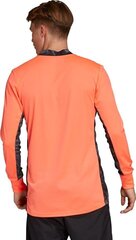 Джемпер для вратаря Adidas AdiPro 20 GK M FI4191, оранжевый цена и информация | Футбольная форма и другие товары | 220.lv