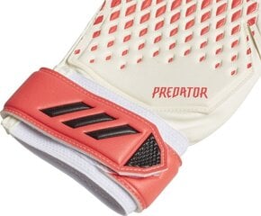 Vārtsargu cimdi Adidas Predator 20 Training FJ5989, balti цена и информация | Перчатки вратаря | 220.lv