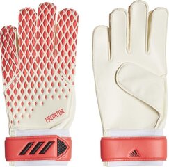 Vārtsargu cimdi Adidas Predator 20 Training FJ5989, balti cena un informācija | Vārtsarga cimdi | 220.lv