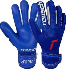 Вратарские перчатки Reusch Attrakt, синие цена и информация | Тренировочные перчатки. Размер 5 | 220.lv