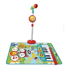 Muzikāla rotaļlieta Reig cena un informācija | Attīstošās rotaļlietas | 220.lv