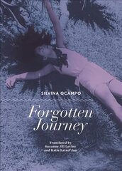 Forgotten Journey cena un informācija | Fantāzija, fantastikas grāmatas | 220.lv