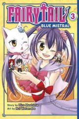 Fairy Tail Blue Mistral 3, 3 цена и информация | Фантастика, фэнтези | 220.lv