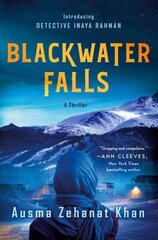 Blackwater Falls: A Thriller цена и информация | Фантастика, фэнтези | 220.lv