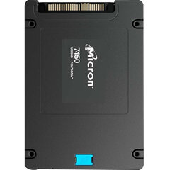 Micron 7450 MAX, 3200GB (MTFDKCB3T2TFS-1BC1ZABYYR) cena un informācija | Iekšējie cietie diski (HDD, SSD, Hybrid) | 220.lv