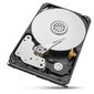 Seagate IronWolf Pro ST20000NE000 20 TB - SATA 6Gb/s цена и информация | Iekšējie cietie diski (HDD, SSD, Hybrid) | 220.lv