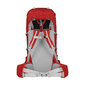 Tūristu mugursoma Alpinus Woodpecker 70 red PO43640 цена и информация | Sporta somas un mugursomas | 220.lv