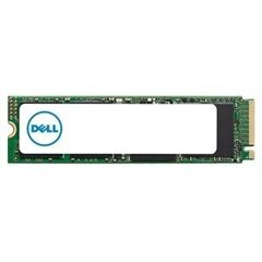 Dell AB292883, 512GB cena un informācija | Iekšējie cietie diski (HDD, SSD, Hybrid) | 220.lv