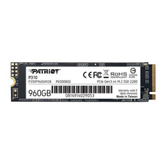 Patriot P310, 960 ГБ цена и информация | Внутренние жёсткие диски (HDD, SSD, Hybrid) | 220.lv