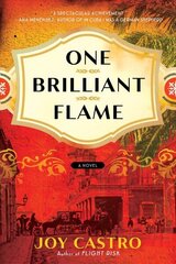 One Brilliant Flame: A Novel цена и информация | Фантастика, фэнтези | 220.lv