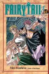 Fairy Tail 15, 15 cena un informācija | Fantāzija, fantastikas grāmatas | 220.lv