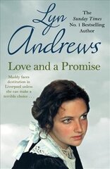 Love and a Promise: A heartrending saga of family, duty and a terrible choice цена и информация | Фантастика, фэнтези | 220.lv