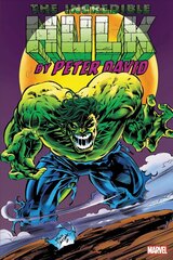 Incredible Hulk By Peter David Omnibus Vol. 4 cena un informācija | Fantāzija, fantastikas grāmatas | 220.lv