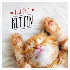 Love is a Kitten: A Cat-Tastic Celebration of the World's Cutest Kittens цена и информация | Фантастика, фэнтези | 220.lv