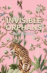Invisible Orphans cena un informācija | Fantāzija, fantastikas grāmatas | 220.lv