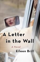 Letter in the Wall: A Novel cena un informācija | Fantāzija, fantastikas grāmatas | 220.lv