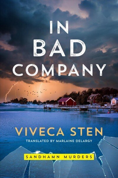 In Bad Company цена и информация | Fantāzija, fantastikas grāmatas | 220.lv