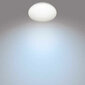 Griestu lampa Philips Moire, balts цена и информация | Griestu lampas | 220.lv