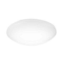 Потолочный светильник Philips Suede Ø 28 cм, белый пластик, 20 W (6500 K) цена и информация | Потолочный светильник | 220.lv