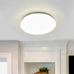 Потолочный светильник Philips Suede Ø 28 cм, белый пластик, 20 W (6500 K) цена и информация | Потолочные светильники | 220.lv
