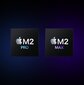 16-inch MacBook Pro: Apple M2 Pro chip with 12‑core CPU and 19‑core GPU, 1TB SSD - Space Grey MNW93RU/A cena un informācija | Portatīvie datori | 220.lv