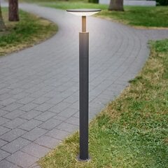 100 cm augsts - Fenia LED sliežu gaisma цена и информация | Уличное освещение | 220.lv