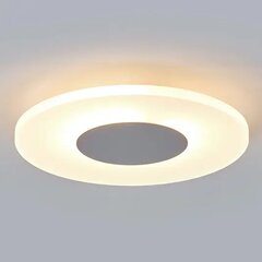 Dekoratīvā LED griestu lampa Tarja cena un informācija | Griestu lampas | 220.lv