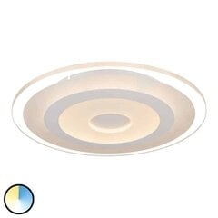 Светодиодный потолочный светильник Fenris с изменяемым цветом свечения цена и информация | Потолочный светильник | 220.lv