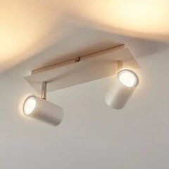 Iluk - 2-ламповый светодиодный прожектор для стен и потолков цена и информация | Потолочные светильники | 220.lv
