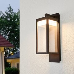 Светодиодный настенный светильник Ferdinand в форме фонаря цена и информация | Уличное освещение | 220.lv