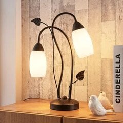 LED galda lampa Stefania, 2 spuldzes цена и информация | Настольные лампы | 220.lv