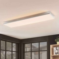 LED panelis Blaan CCT tālvadības pults 119,5 x 29,5 cm цена и информация | Монтируемые светильники, светодиодные панели | 220.lv