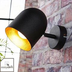 Светодиодный настенный светильник Morik, 1 лампа цена и информация | Настенные светильники | 220.lv