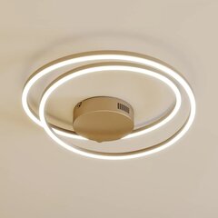 Lindby Davian LED griestu lampa, regulējama, niķeļa цена и информация | Потолочные светильники | 220.lv