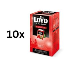 Чай фруктовый Loyd Horeca line со вкусом клубники, 20 х 2г, упаковка 10 шт. цена и информация | Чай | 220.lv