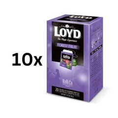 Чай черный Loyd Horeca line со вкусом лесных ягод, 20 х 2г, упаковка 10 шт. цена и информация | Чай | 220.lv