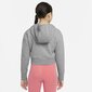 Jaka Nike Girls NSW CLUB FT CROP HOODIE HBR pelēka/rozā цена и информация | Jakas, džemperi, žaketes, vestes meitenēm | 220.lv