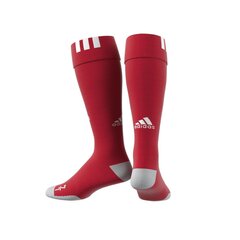 Футбольные носки Bayern Munich FC Home Sock, красные цена и информация | Футбольная форма и другие товары | 220.lv