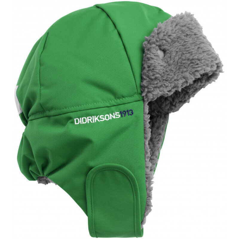 Cepure Didriksons Biggles zaļa cena un informācija | Ziemas apģērbs bērniem | 220.lv