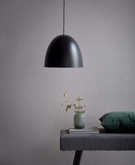 Nordlux griestu lampa Alexander цена и информация | Потолочные светильники | 220.lv