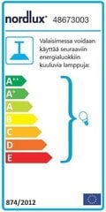 Люстра Nordlux Alexander цена и информация | Потолочные светильники | 220.lv