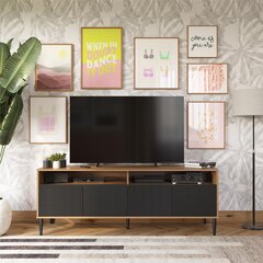 ТВ столик Daphne, коричневый/черный цена и информация | Тумбы под телевизор | 220.lv