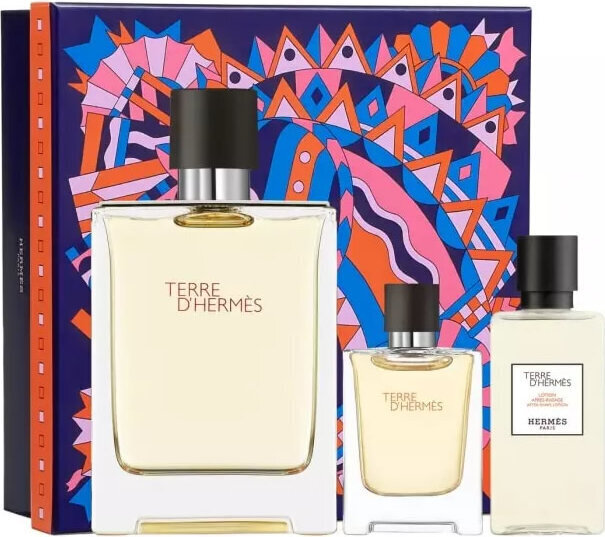 Komplekts Hermès Terre D´ Hermes vīriešiem: tualetes ūdens EDT, 100 ml + balzams pēc skūšanās, 40 ml цена и информация | Vīriešu smaržas | 220.lv