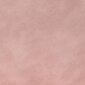Biroja krēsls CosmoLiving by Cosmopolitan Astor, rozā цена и информация | Virtuves un ēdamistabas krēsli | 220.lv